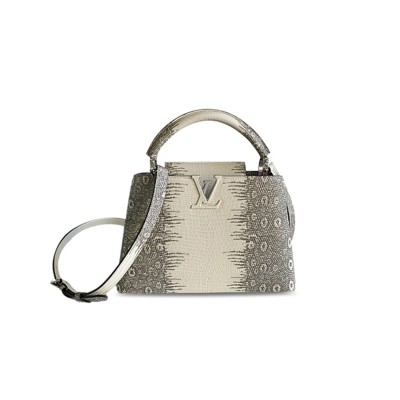 LOUIS VUITTON CAPUCINES BB M98177 (27*18*9cm)